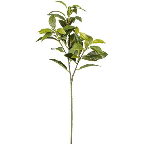 Pflanzen-Kölle Künstlicher Lorbeerzweig, 4er-Set, Höhe ca. 65 cm
