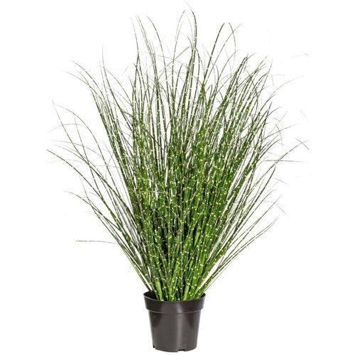 Pflanzen-Kölle Kunstpflanze Miscanthus Zebrinus, Höhe ca. 110 cm