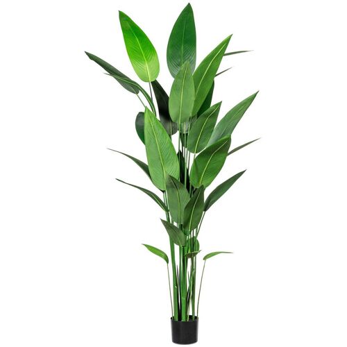 Pflanzen-Kölle Kunstpflanze Wassercanna, Höhe ca. 210 cm