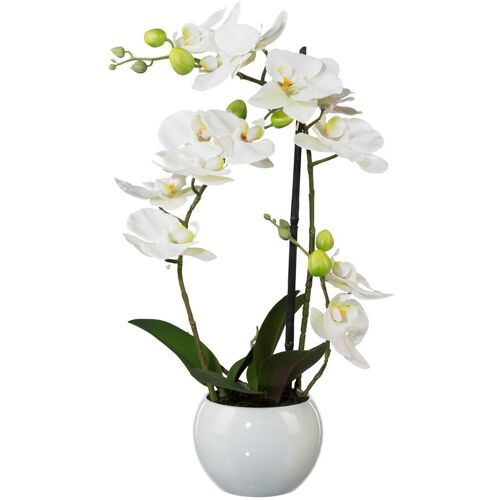 Pflanzen-Kölle Kunstpflanze Phalaenopsis 'Real Touch', weiß, Höhe ca. 42 cm