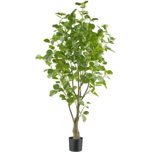 Pflanzen-Kölle Künstlicher Eukalyptus, Höhe ca. 130 cm