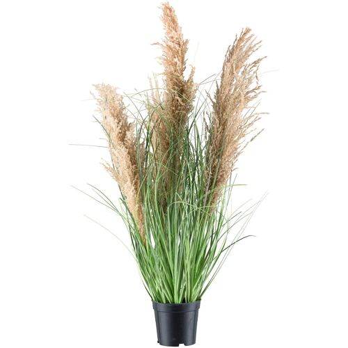 Pflanzen-Kölle Kunstpflanze Natur-Schilfgras, Höhe ca. 75 cm