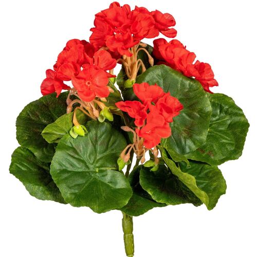 Pflanzen-Kölle Kunstpflanze Minigeranie, rot, Höhe ca. 24 cm