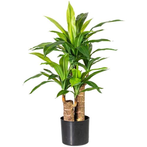 Pflanzen-Kölle Kunstpflanze Draecena, Höhe ca. 80 cm