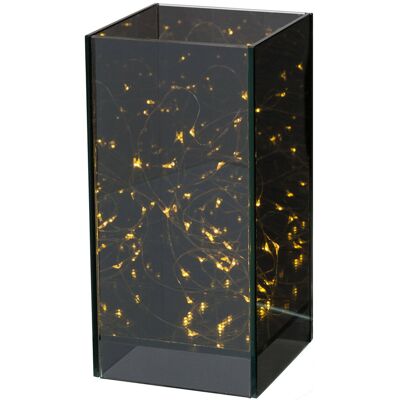 Pflanzen-Kölle LED Glas-Dekogefäß, ca. 20 x 10 cm Pflanzen-Kölle LED Glas-Dekogefäß, ca. 20 x 10 cm
