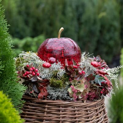 Pflanzen-Kölle Online Kreativ-Kurs "Naturkranz Apfel", 24.09.2026, 18:00 - 19:00 Uhr Pflanzen-Kölle Online Kreativ-Kurs "Naturkranz Apfel", 24.09.2026, 18:00 - 19:00 Uhr