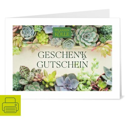 Pflanzen-Kölle Gutschein zum Ausdrucken 'Sukkulente' Pflanzen-Kölle Gutschein zum Ausdrucken 'Sukkulente'