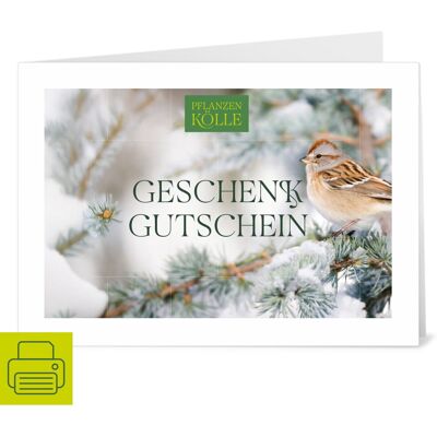 Pflanzen-Kölle Gutschein zum Ausdrucken 'Winter' Pflanzen-Kölle Gutschein zum Ausdrucken 'Winter'