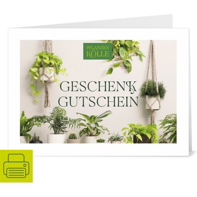 Pflanzen-Kölle Gutschein zum Ausdrucken 'Grünpflanze' Pflanzen-Kölle Gutschein zum Ausdrucken 'Grünpflanze'