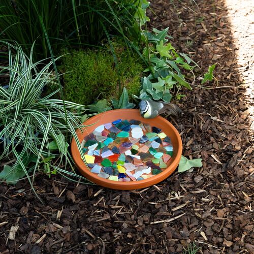 Pflanzen-Kölle Gartenschule Kids "Mosaik-Vogeltränke", 20.06.2026, 14 - 15:30 Uhr