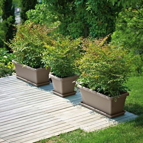 Euro 3 Plast Pflanzkasten 'Akea', taupe, ca. 80 x 39 x H 34 cm