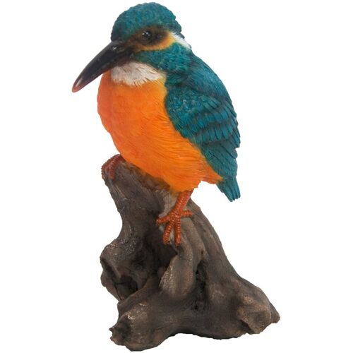 Pflanzen-Kölle Eisvogel, bunt, 14 x 10 x 8 cm