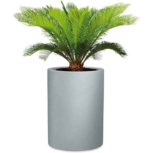 Scheurich Pflanzgefäß 'Riva High', steingrau, ca. 39 x 39 x H 54 cm