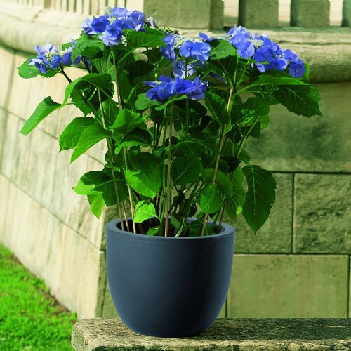 Euro 3 Plast Pflanzkübel 'Etria', perlschwarz, ca. Ø 34 x H 28 cm