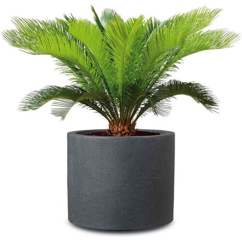 Scheurich Pflanzgefäß 'Riva', schwarz granit, ca. Ø 29 x H 25 cm