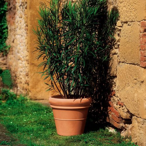 Euro 3 Plast Pflanzkübel 'Doppio Bordo', terra, ca Ø 51 x H 44 cm