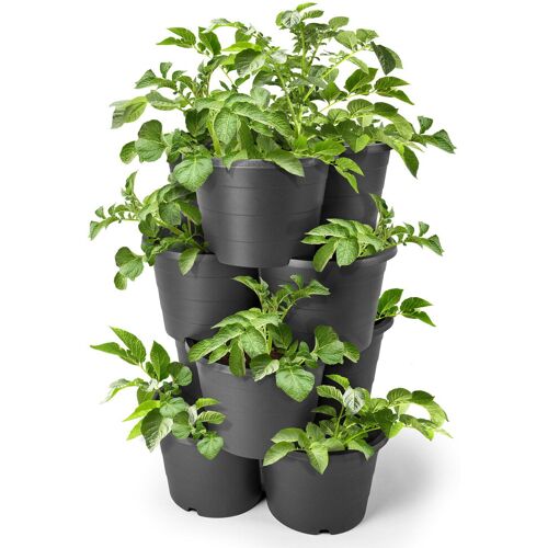 Kölle Kartoffelturm, 4 Töpfe, anthrazit, ca. 42 x 40 x H 21 cm