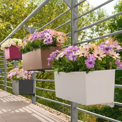 Lechuza® Lechuza 'Balconera Color 50' schiefergrau, ca. 50 x 19 x H 19 cm Lechuza® Lechuza 'Balconera Color 50' schiefergrau, ca. 50 x 19 x H 19 cm