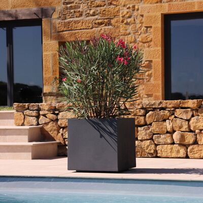 Eda Pflanztrog 'Basalt Dado', anthrazit, ca. 50 x 50 x H 50 cm Eda Pflanztrog 'Basalt Dado', anthrazit, ca. 50 x 50 x H 50 cm