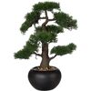 Pflanzen-Kölle Kunstpflanze Bonsai Zeder mit Kies, Topf-Ø 18 cm, Höhe ca. 48 cm