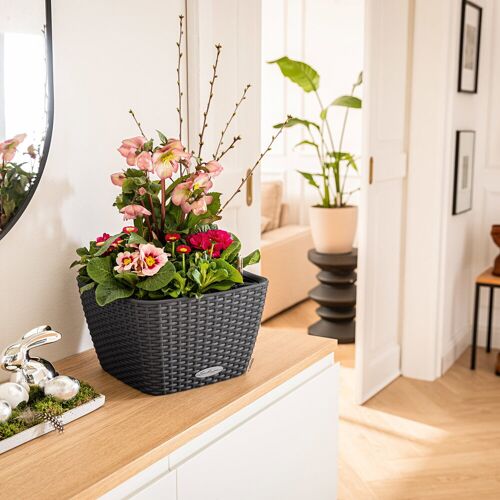 Lechuza® Lechuza 'Bacino Cottage', granit, ca. 30 x 30 x H 18 cm