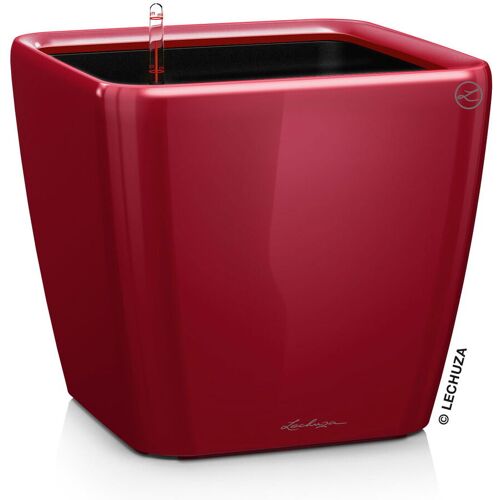 Lechuza® Lechuza 'Quadro LS 28', scarlet-rot, ca. 28 x 28 x H 26 cm