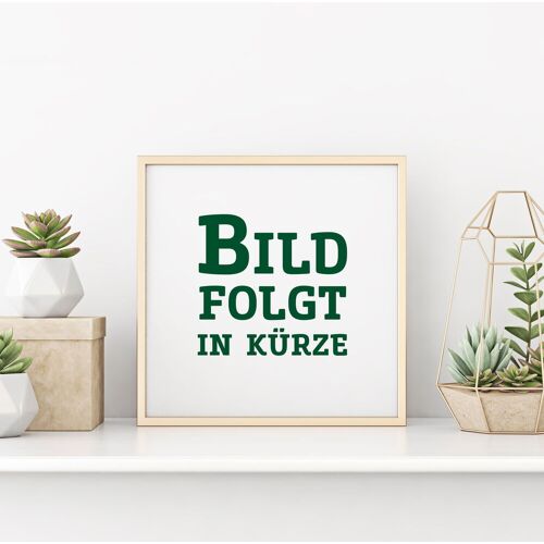 Pflanzen-Kölle Bambus-Hecken-Set Fargesia rufa, Höhe 40-60 cm, Topf 5 Liter, 30 Stück