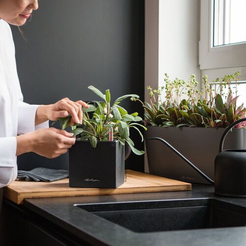 Lechuza® Lechuza 'Canto Stone 14', graphitschwarz, ca. 14 x 14 x H 13,5 cm