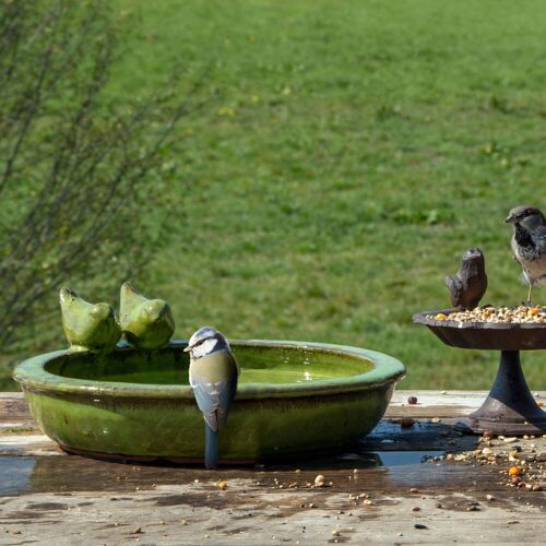 Pflanzen-Kölle Vogeltränke rund M, grün, Keramik