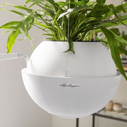 Lechuza® Lechuza 'Bola Color 32', weiß, ca. Ø 32 x H 25 cm