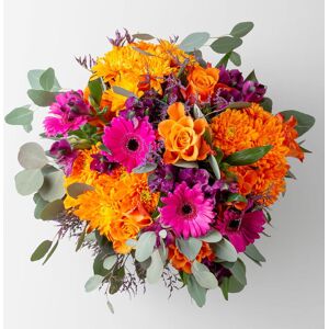 Pflanzen-Kölle Blumenstrauß 'Barcelona', handgebunden Pflanzen-Kölle Blumenstrauß 'Barcelona', handgebunden