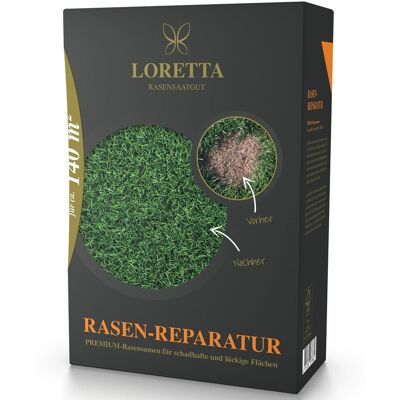 Pflanzen-Kölle Rasensamen, Rasen-Reparatur, Mantelsaat Vital Pflanzen-Kölle Rasensamen, Rasen-Reparatur, Mantelsaat Vital