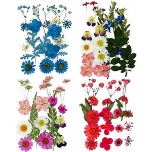 SERBIA Natürliche Trockenblumen, 4 Sets Trockensträuße, Blumenhandwerk, handgefertigte Blütenblätter und Blätter für Harz, Scrapbooking, Schmuckherstellung,