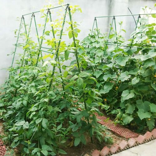 SEKEY Tomaten-Spiralstäbe Pflanzenstäbe Gartenpflanze Unterstützung, lang 145cm16mm / 10 Stk.