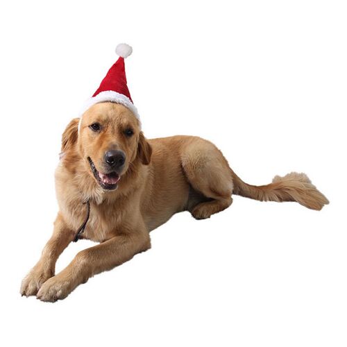 Ouyida – Hunde-Katzen-Haustier-Weihnachtsmütze, Weihnachtskatzenkostüm für Welpen, kleine, mittelgroße, große Hunde (s)