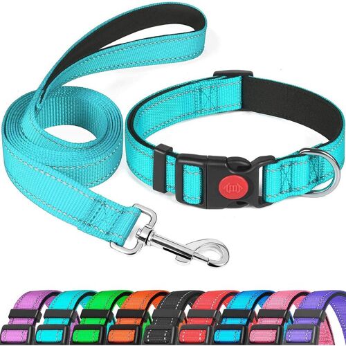 OYLDA Reflektierendes Nylon-Hundehalsband, Verstellbare Halsbänder mit weicher Neopren-Polsterung, Blau (m)