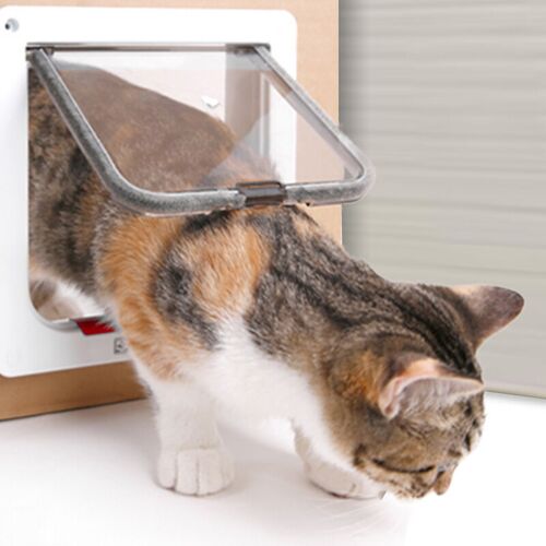 Vingo - Katzenklappe Katzenklappen 4 Wege Katzentür PetSafe mit Tunnel Katzen Hundeklappe - weiß