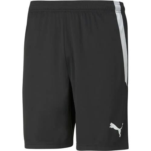 Puma TeamLIGA Herren Shorts, schwarz XL