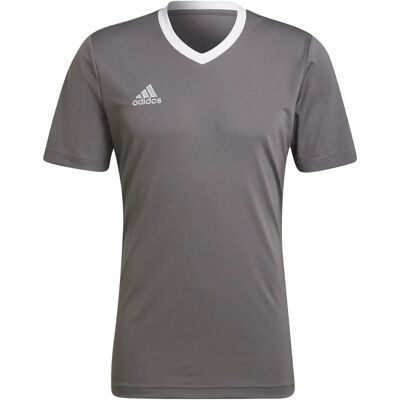 Adidas Entrada 22 Trikot Herren Trikot, grau 3XL Adidas Entrada 22 Trikot Herren Trikot, grau 3XL