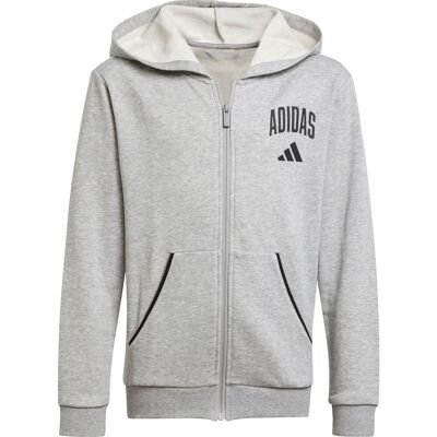 Adidas Seasonals Essentials Collegiate Typography Full-Zip Kinder Kapuzensweater, grau 176 Adidas Seasonals Essentials Collegiate Typography Full-Zip Kinder Kapuzensweater, grau 176
