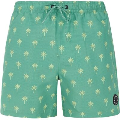Protest Prtalvis Herren Badehose, grün S Protest Prtalvis Herren Badehose, grün S