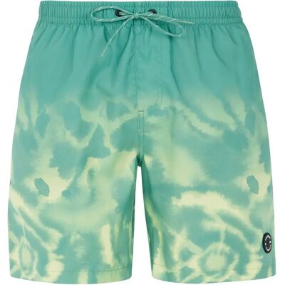 Protest Prtagor Herren Badehose, grün L Protest Prtagor Herren Badehose, grün L