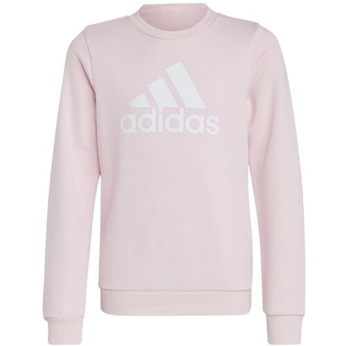 Adidas Essentials Big Logo Cotton Sweatshirt Mädchen pink 170 pink female