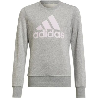 Adidas Essentials Sweatshirt Mädchen Sweatshirt, grau 140 Adidas Essentials Sweatshirt Mädchen Sweatshirt, grau 140