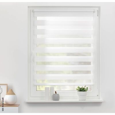 Lichtblick Duo-Rollo, Klemmfix, 120x150cm - Rollos Lichtblick Duo-Rollo, Klemmfix, 120x150cm - Rollos