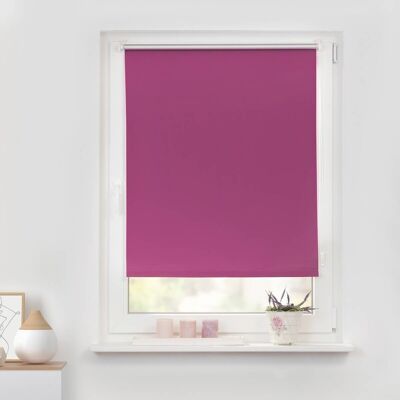 Lichtblick Fuchsia Thermo-Rollo - Verdunkelungsrollo Lichtblick Fuchsia Thermo-Rollo - Verdunkelungsrollo
