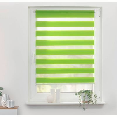 Lichtblick Duo-Rollo, Klemmfix, 80x200cm, Polyester, Grün - Rollo Lichtblick Duo-Rollo, Klemmfix, 80x200cm, Polyester, Grün - Rollo