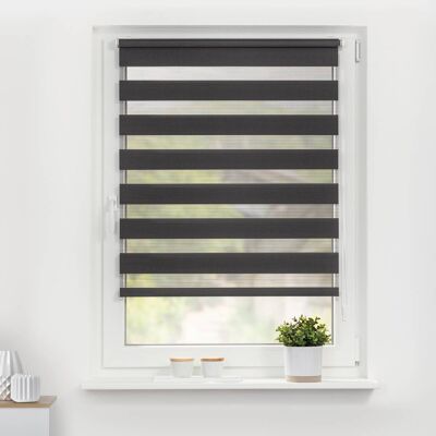 Lichtblick Duo-Rollo, Klemmfix, 75x150cm - Rollos Lichtblick Duo-Rollo, Klemmfix, 75x150cm - Rollos