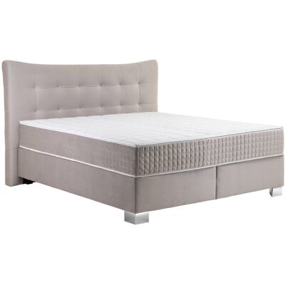 Boxspringbett Domino creme Liegefläche B/L: ca. 180x200 cm Boxspringbett Domino creme Liegefläche B/L: ca. 180x200 cm