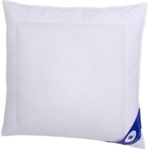 Otto Keller 3-Kammer-Kopfkissen »Anna, Kissen Made in Germany« Füllung: Aussenkammermit90Daunen10Federn Bezug: Baumwolle 1 Stk. tlg. Das 3-Kammerkissen gibt es in den Größen 40 x 80 und 80 x 80 cm. B/H/L: 80 cm x 80 cm weiß Otto Keller 3-Kammer-Kopfkissen »Anna, Kissen Made in Germany« Füllung: Aussenkammermit90Daunen10Federn Bezug: Baumwolle 1 Stk. tlg. Das 3-Kammerkissen gibt es in den Größen 40 x 80 und 80 x 80 cm. B/H/L: 80 cm x 80 cm weiß